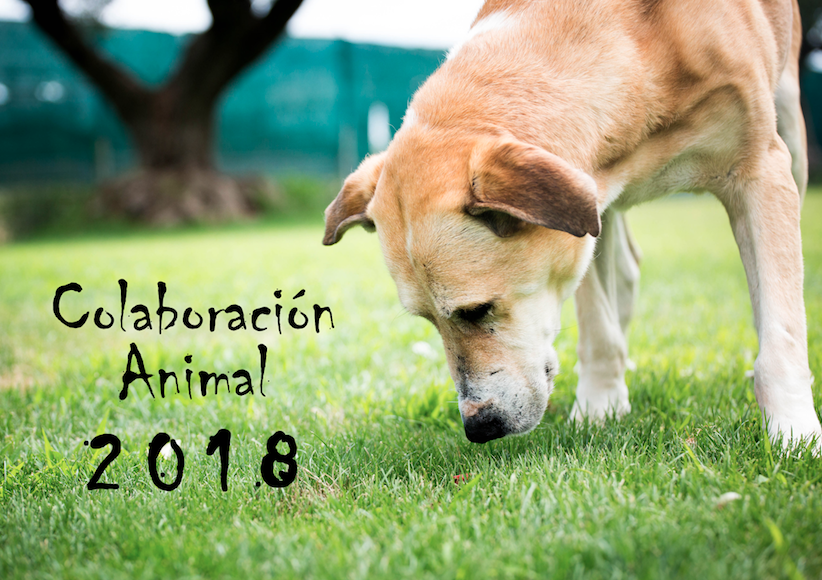 Calendario 2018 Colaboración Animal